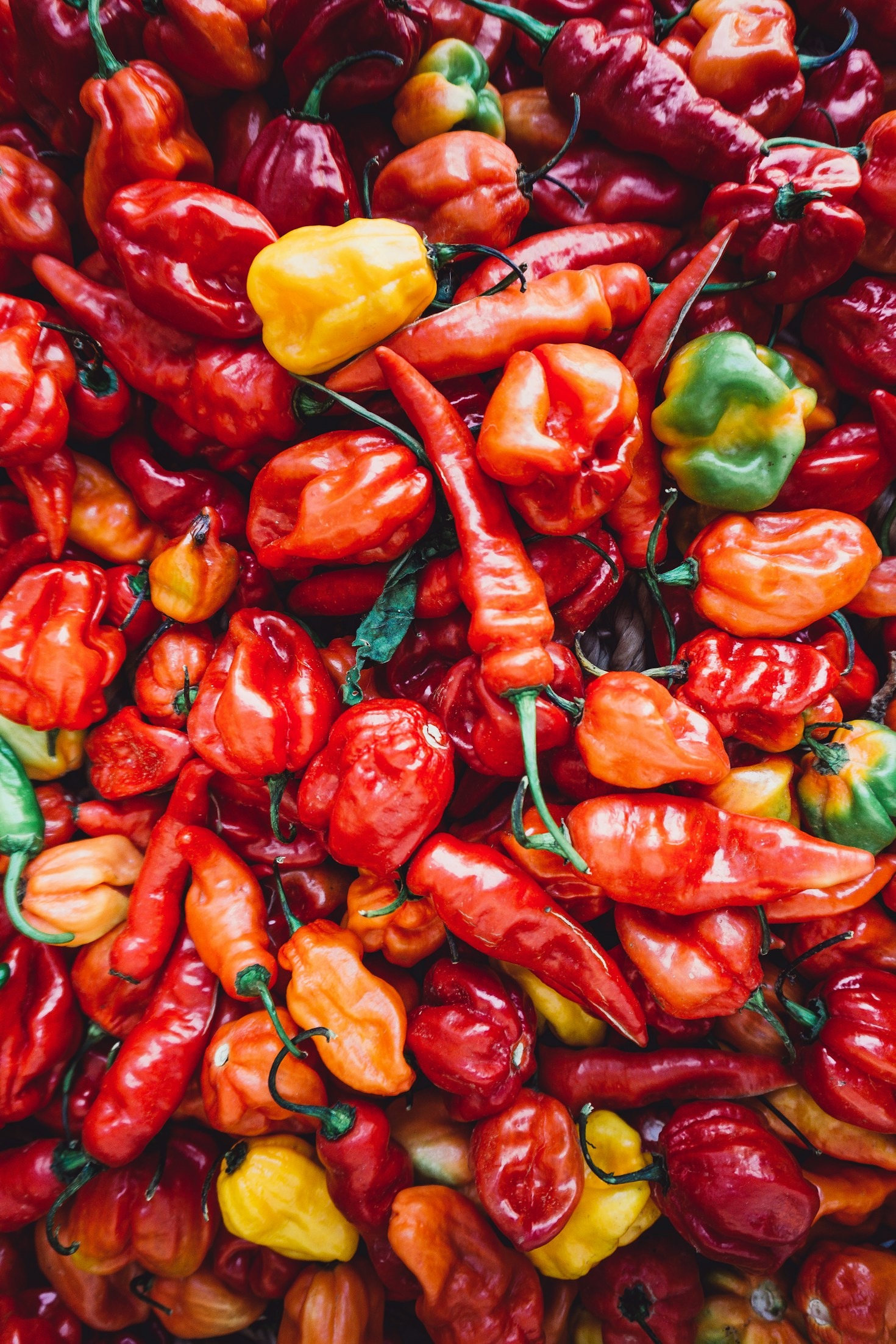 The Art of Pairing Hot Sauces with Food