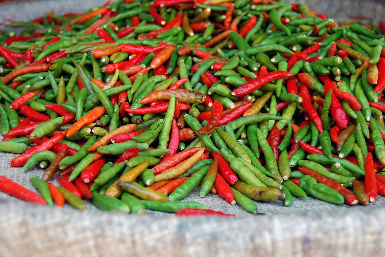 Why London Loves Spicy Delights